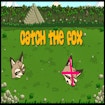 catch-the-fox