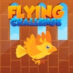 Flying Challenge