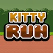 Kitty Run