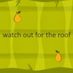 watch out for the roof